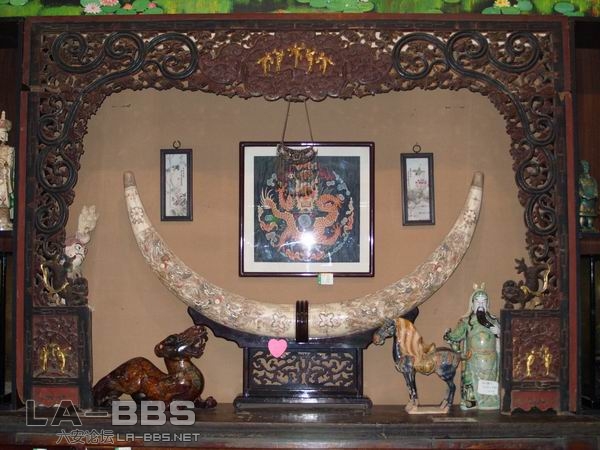 调整大小 SS850777.JPG