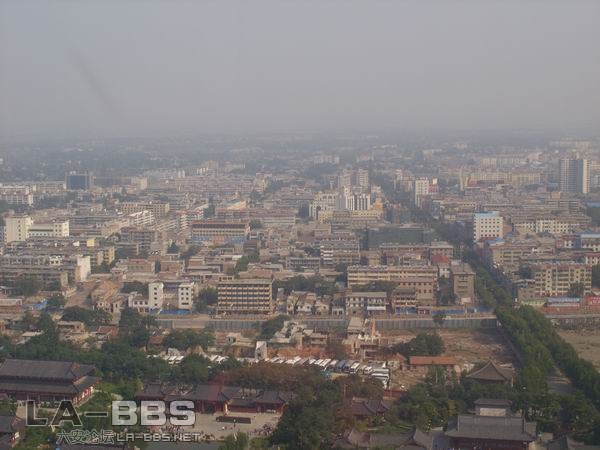 调整大小 SS850723.JPG