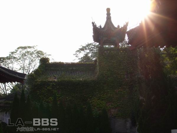 调整大小 SS850711.JPG