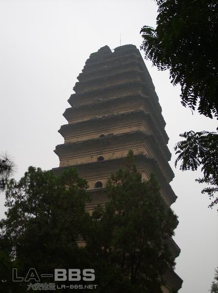 旋转 调整大小 SS850770.JPG