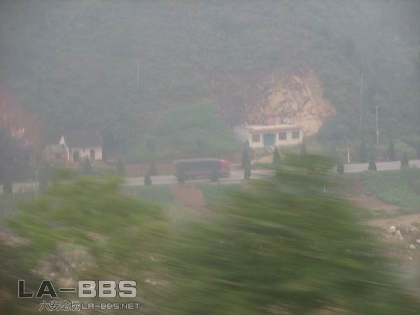 调整大小 SS850611.JPG