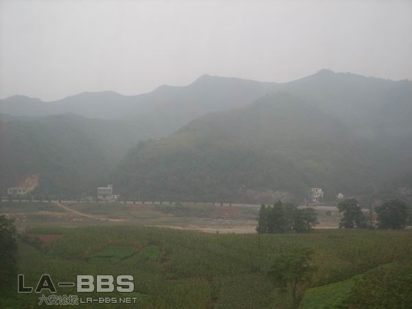 调整大小 SS850610.JPG