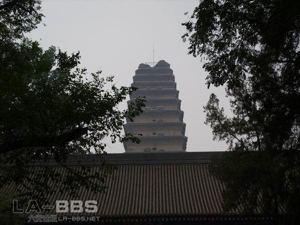 调整大小 SS850778.JPG