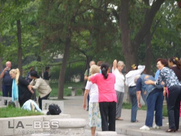 调整大小 SS850779.JPG