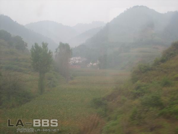 调整大小 SS850603.JPG