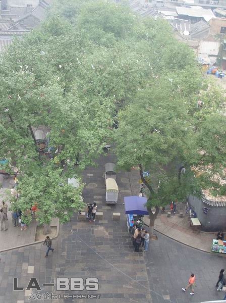 旋转 调整大小 SS850909.JPG