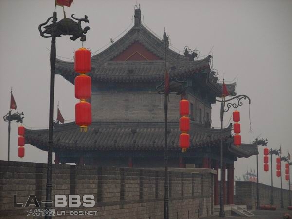 调整大小 SS850979.JPG