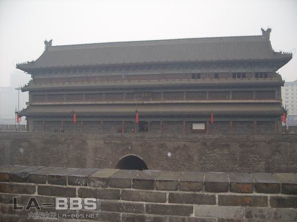 调整大小 SS850980.JPG