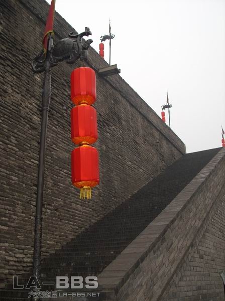 旋转 调整大小 SS850977.JPG