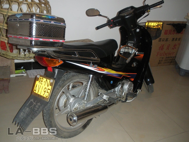 我的坐骑  小巧玲珑啊