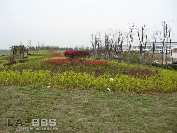 皋城东路桥头绿化