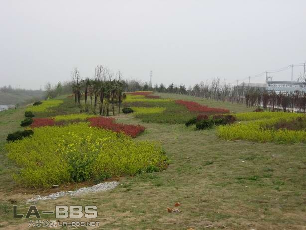 皋城东路桥头绿化