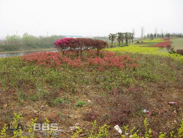 皋城东路桥头绿化