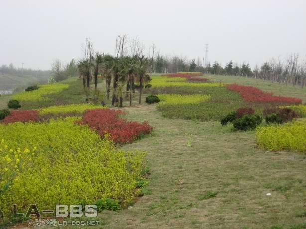 皋城东路桥头绿化