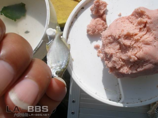 就是这个小东西