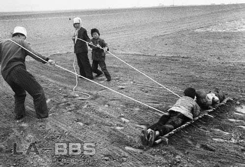 为了帮助平整土地，孩子的身体都撂到排子上.jpg