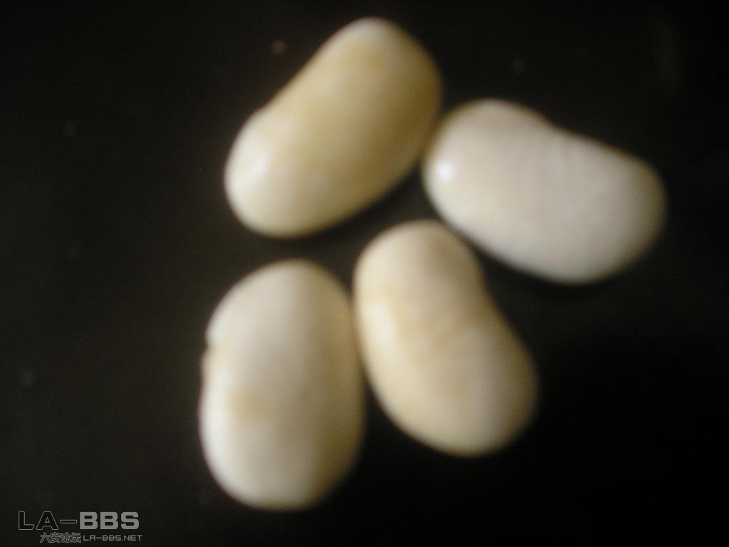 此豆要和我们六安人爱吃的炖猪蹄放在一起,那...味道无法想象!!!