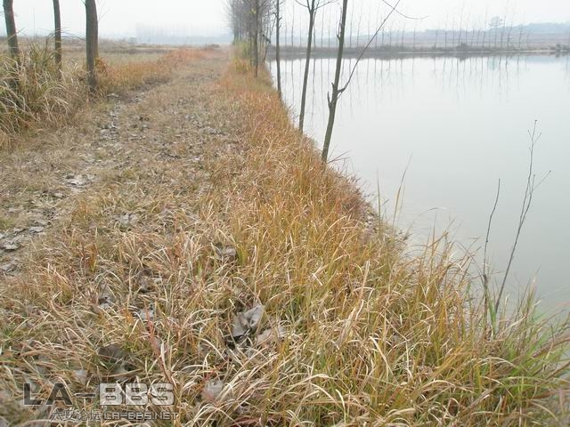 风景还是不错的``安静啊