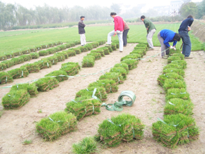 正在进行时····