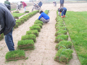 正在进行时····