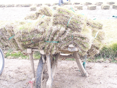 现在我们这基本没这重独轮车了