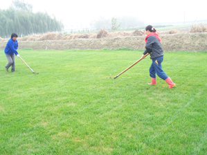 这是在铲草坪之前为保持大小一致而事先裁好