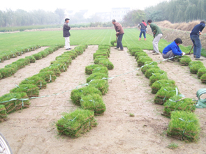 正在进行时····