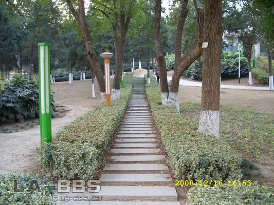 调整大小 SS851460.JPG