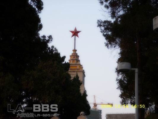 调整大小 SS851455.JPG