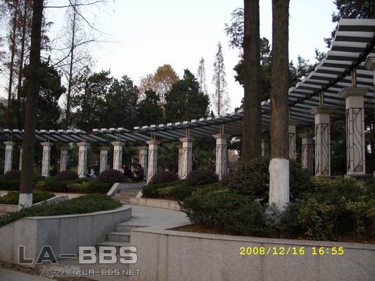 调整大小 SS851461.JPG