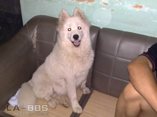 调整大小 20080911073.jpg