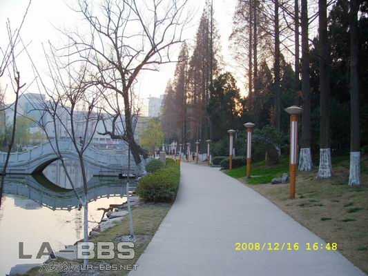 调整大小 SS851453.JPG