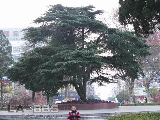 调整大小 DSCF1260.JPG