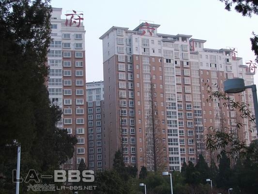 调整大小 DSCF1244.JPG