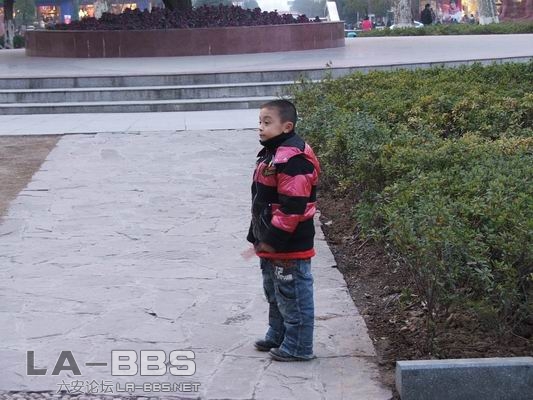 调整大小 DSCF1261.JPG