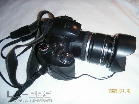 调整大小 KIF_1279.JPG