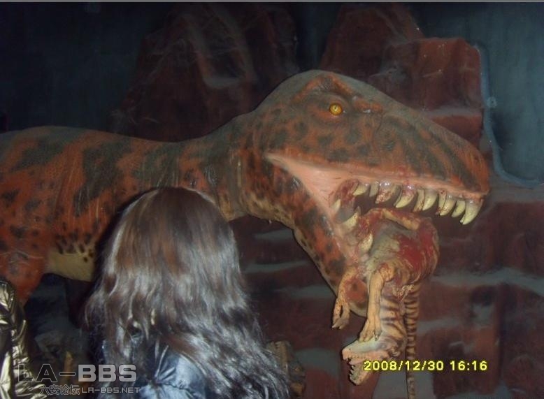 博物馆的恐龙