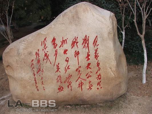 调整大小 DSCF1249.JPG