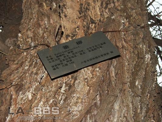 调整大小 DSCF1254.JPG