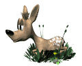 d23.gif