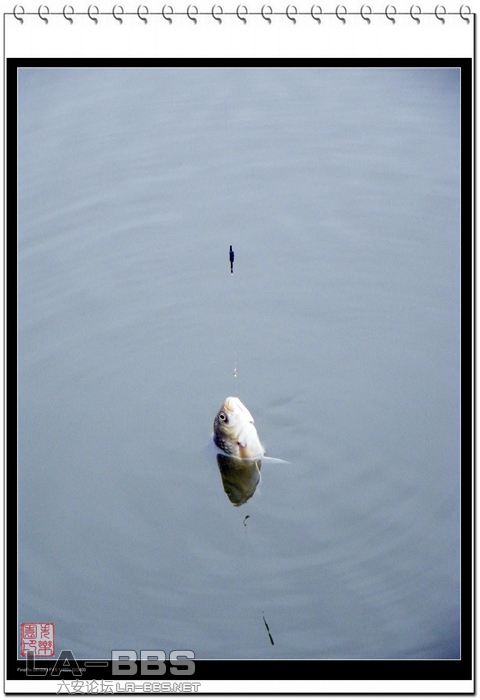 小鱼才露尖尖嘴