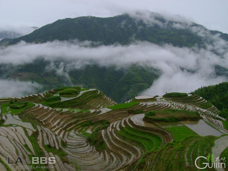 梯田.jpg