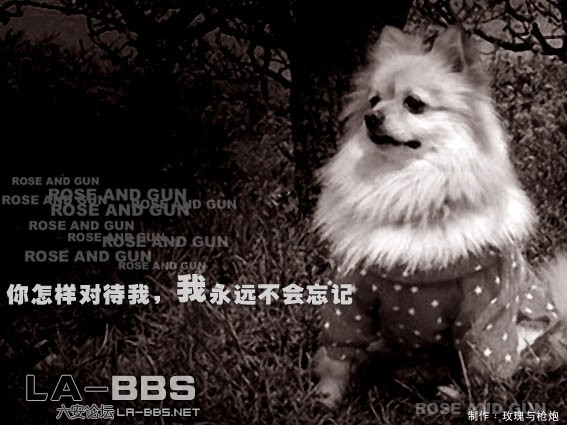 20090527_47980485e435f3789186j1QAh3hutS2W.jpg