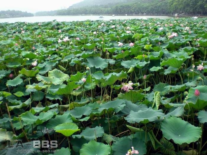 调整大小 CIMG1709.JPG