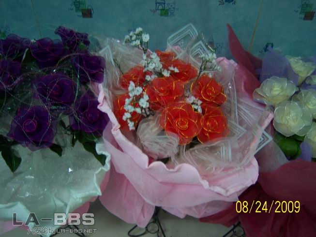 调整大小 照片 006.jpg