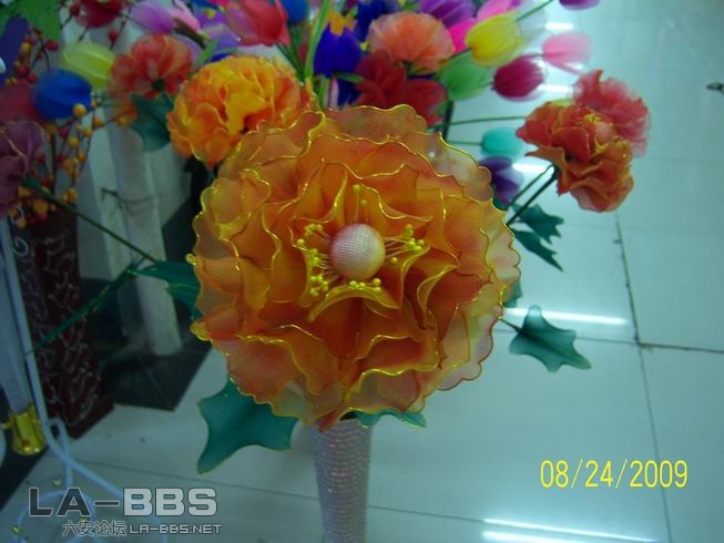 调整大小 照片 015.jpg