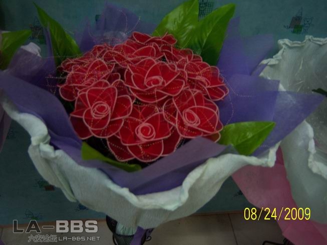 调整大小 照片 004.jpg