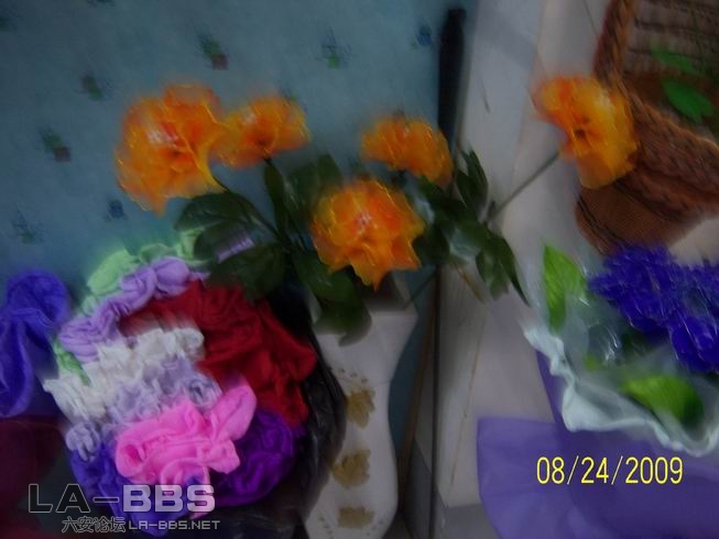 调整大小 照片 008.jpg