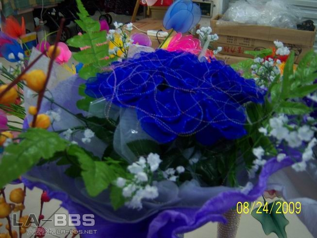 调整大小 照片 011.jpg