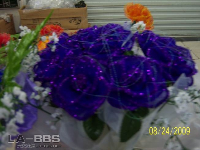 调整大小 照片 012.jpg